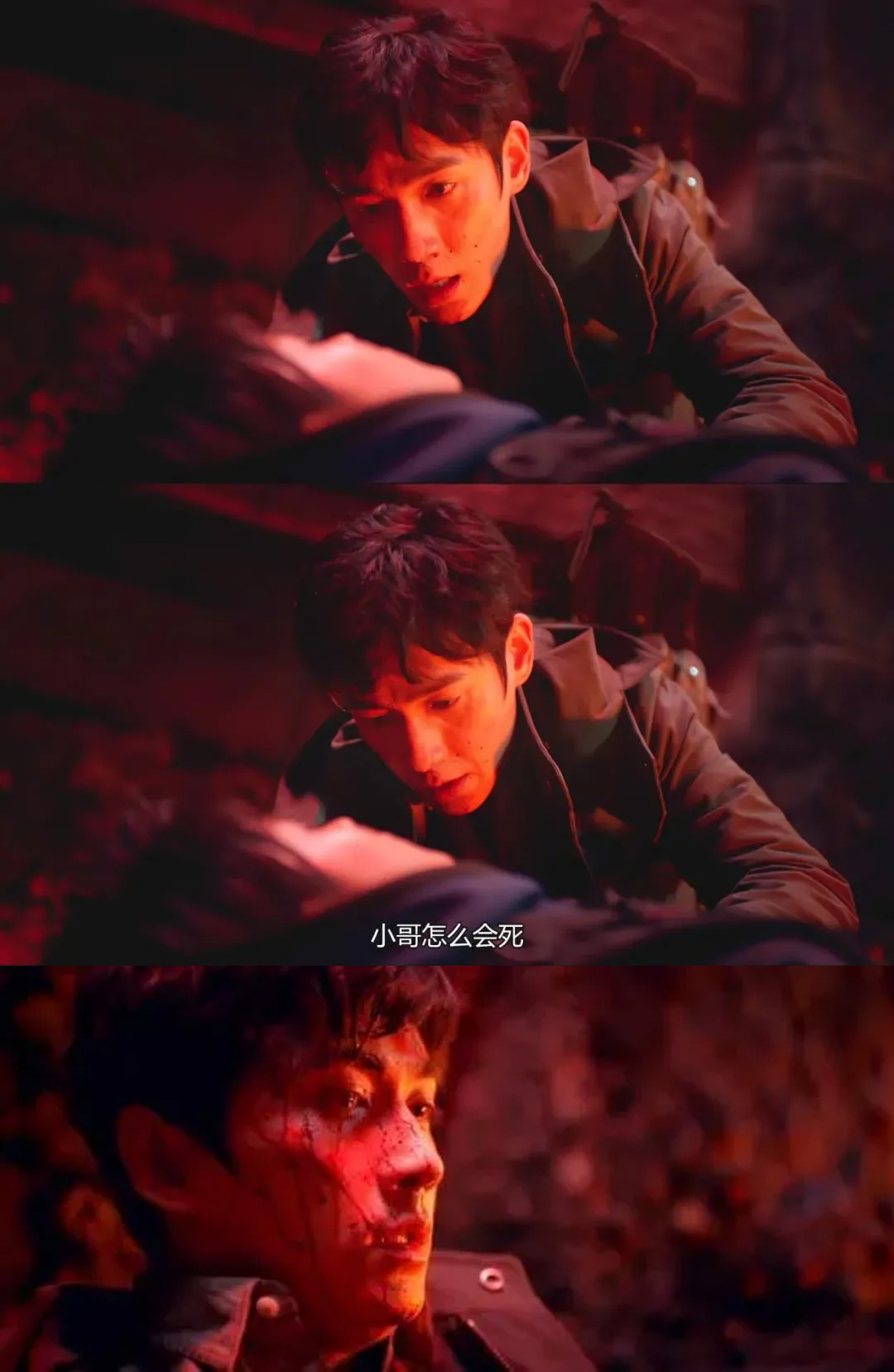 重启,朱一龙,毛晓彤,胡军