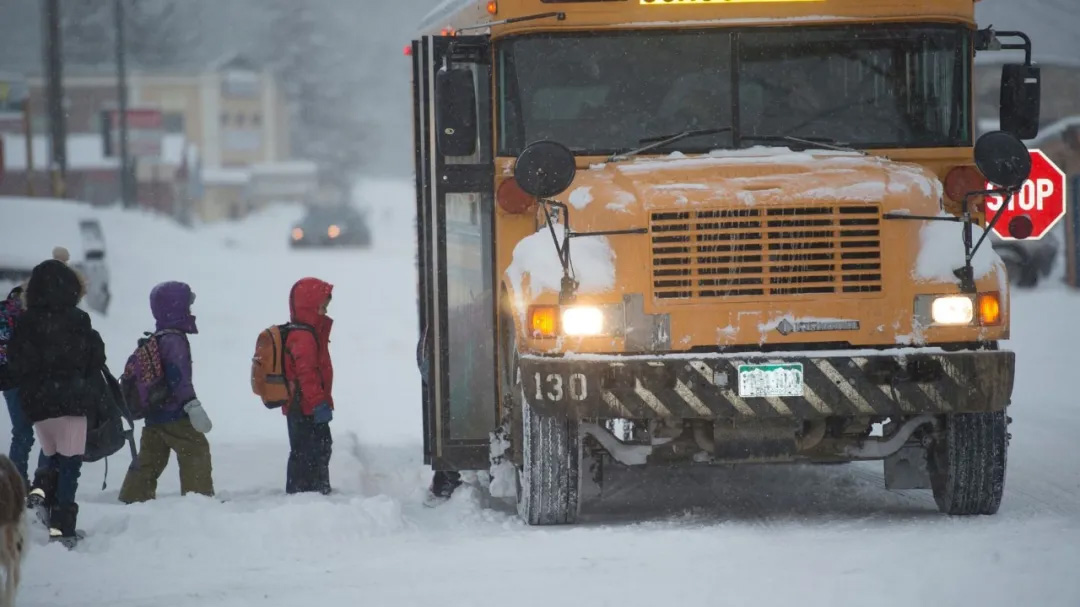 中南部大雪,德州停电,交通瘫痪,一氧化碳中毒,加拿大极寒,新冠变种,疫苗接种