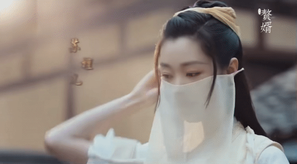 赘婿,郭麒麟,宋轶,庆余年,伪装者,你好 李焕英,贾玲,沈腾,王牌对王牌,喜剧总动员