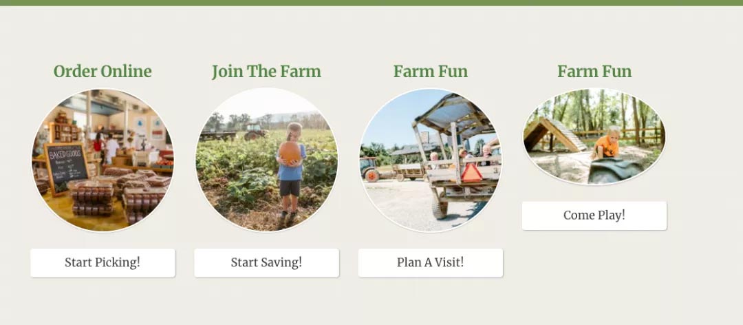 农场采摘,Crystal Bay Farm,Gizdich Ranch,Berry Best Farm,Berry Best Farm,Murray Family Farms,Riley’s Farm,Messick's Farm,Great Country Farms,Butler’s Orchard,Lewin Farms,Alstede Farms,Patty’s Berries and Bunches