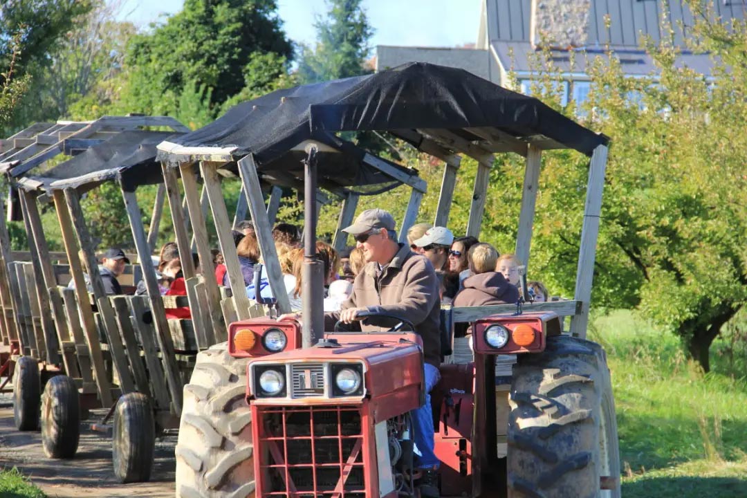 农场采摘,Crystal Bay Farm,Gizdich Ranch,Berry Best Farm,Berry Best Farm,Murray Family Farms,Riley’s Farm,Messick's Farm,Great Country Farms,Butler’s Orchard,Lewin Farms,Alstede Farms,Patty’s Berries and Bunches