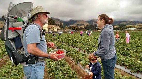 农场采摘,Crystal Bay Farm,Gizdich Ranch,Berry Best Farm,Berry Best Farm,Murray Family Farms,Riley’s Farm,Messick's Farm,Great Country Farms,Butler’s Orchard,Lewin Farms,Alstede Farms,Patty’s Berries and Bunches