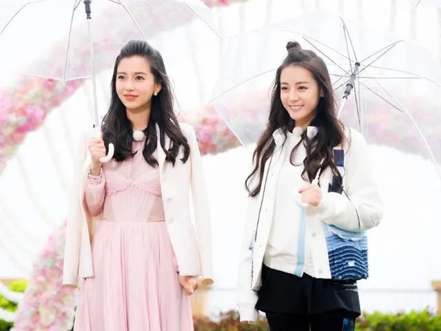 高圆圆,大秦帝国之裂变,咱们结婚吧,刘诗诗,章子怡,身材恢复