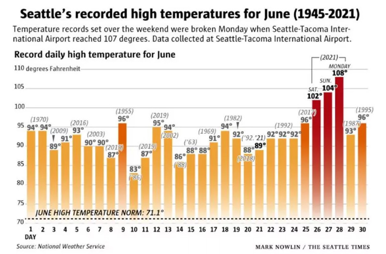 三十而已,景甜张彬彬,我和我们在一起,爱的理想生活,吴谨言,银河补习班,战狼