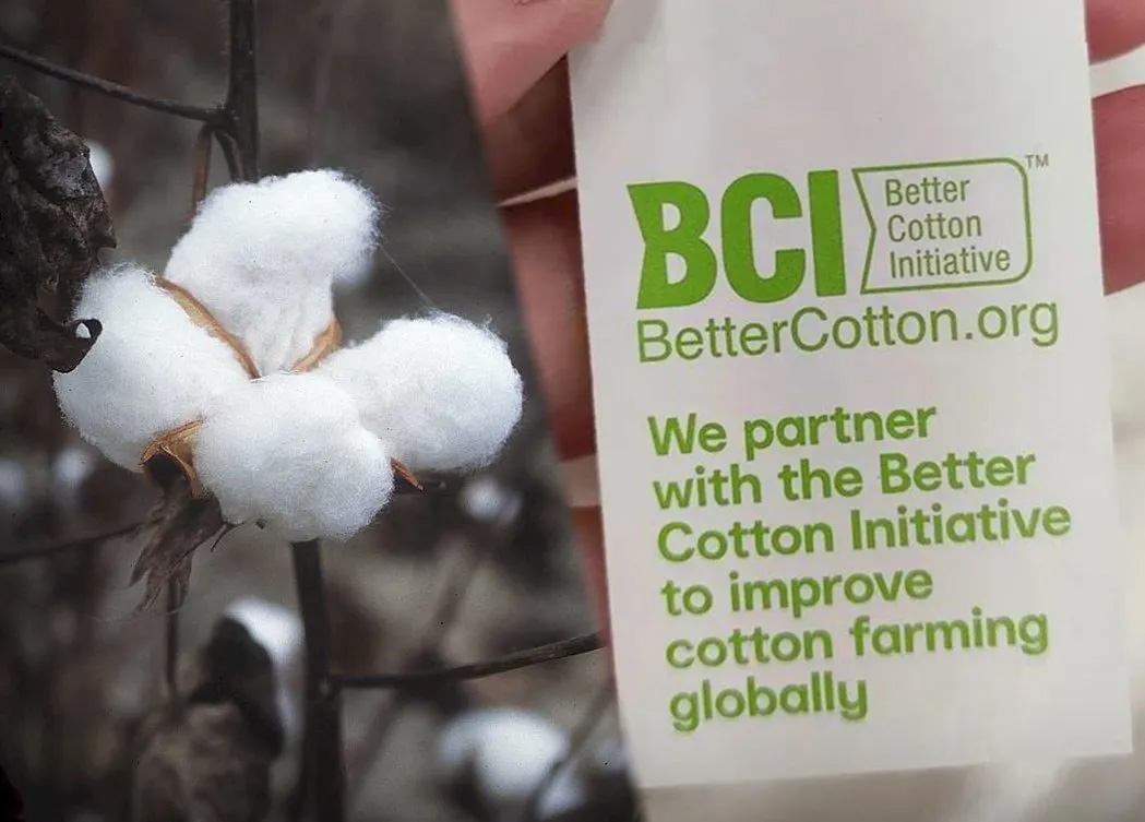 Delta毒株,高温,啃老族,公寓坍塌,新疆棉