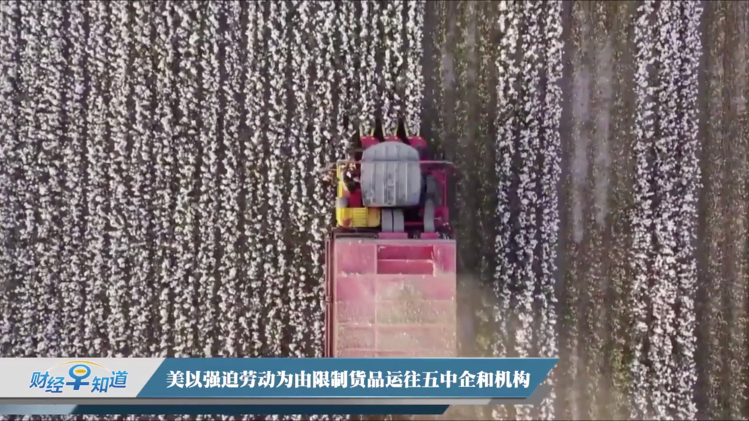 Delta毒株,高温,啃老族,公寓坍塌,新疆棉