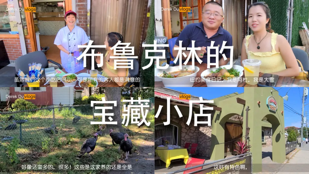 活动规则,美食博主,生活博主,影视博主,新闻资讯