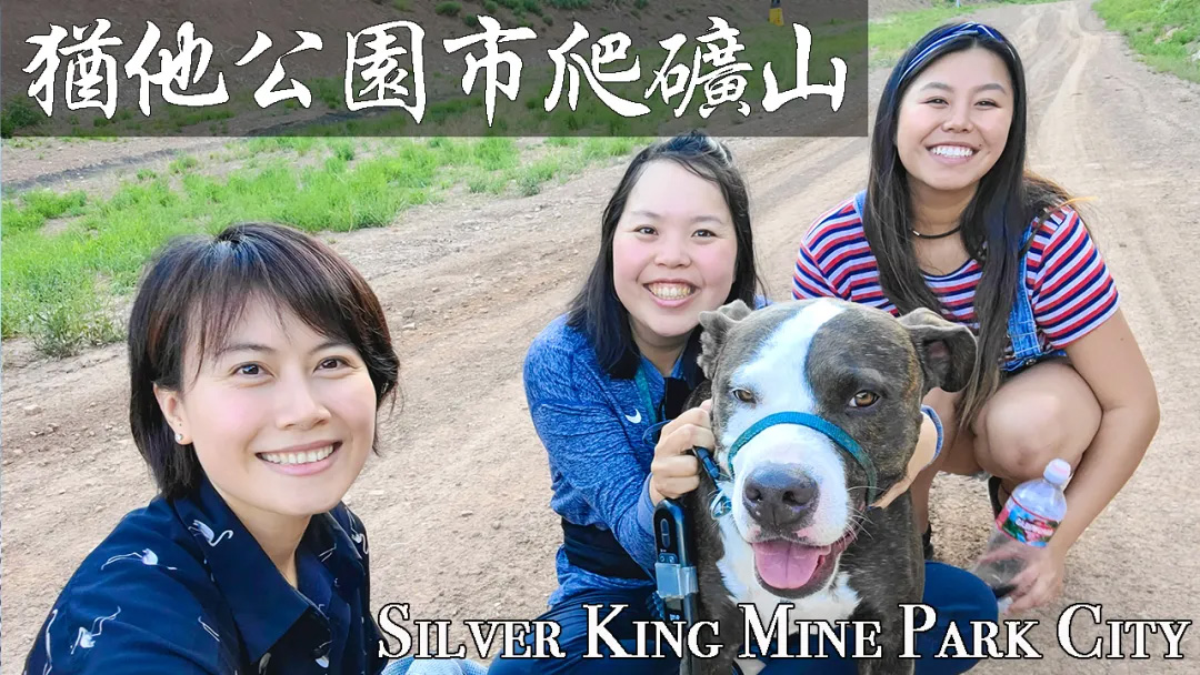 活动规则,美食博主,生活博主,影视博主,新闻资讯