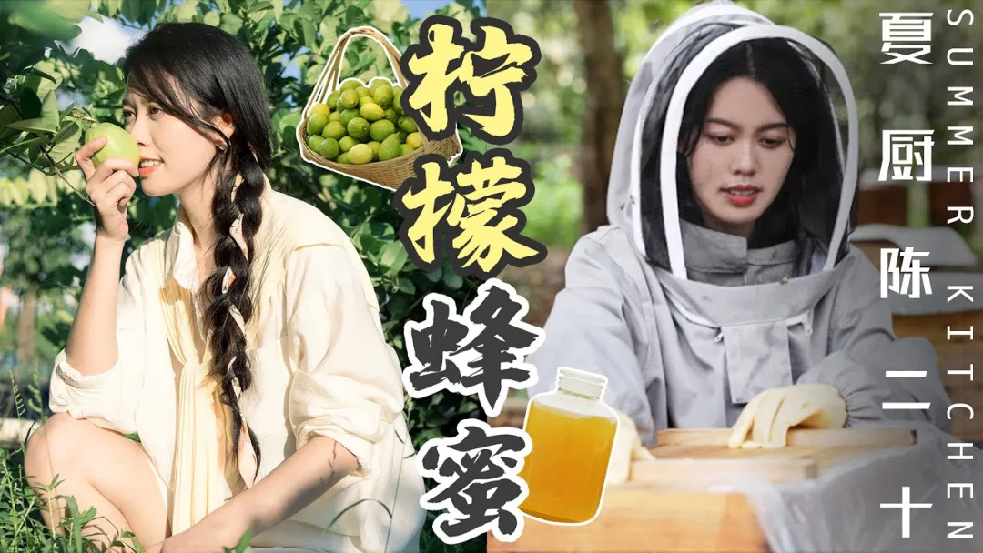 活动规则,美食博主,生活博主,影视博主,新闻资讯