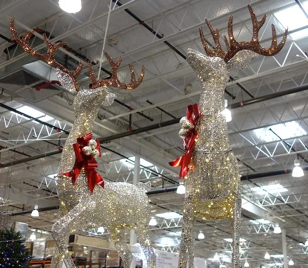 吴京,章子怡,长津湖,我和我的父辈,中国医生,我和我的祖国,我和我的家乡,中国机长,八佰,明月几时有