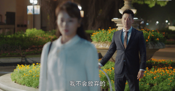 星辰大海电视剧,刘涛,林峯,刘涛古装剧,刘涛欢乐颂,刘涛综艺,刘涛时尚封面,林峯寻秦记,林峯TVB,林峯佘诗曼,林峯使徒行者