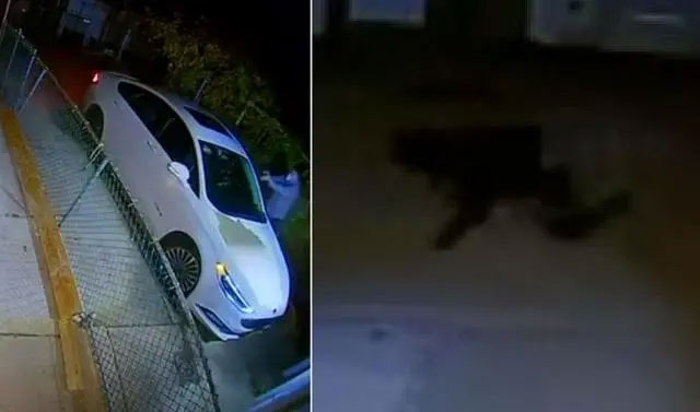 华人小哥遭抢劫,华人小哥以一敌三,华人亚裔自我防卫,华人小哥反杀劫匪,华人反暴力,华裔老奶奶遭重拳袭击,北美华人群体反歧视,海外遇难指南,华人夫妇以一敌五,华人餐馆老板暴揍劫匪,留学生击毙歹徒