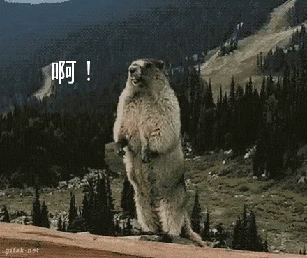 港风美女盛世美颜,董璇佟丽娅,明星撞脸,明星双胞胎,撞脸识别